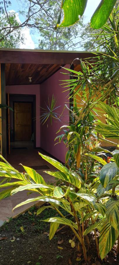 Ciudad Perdida Ecolodge Cahuita Exterior photo