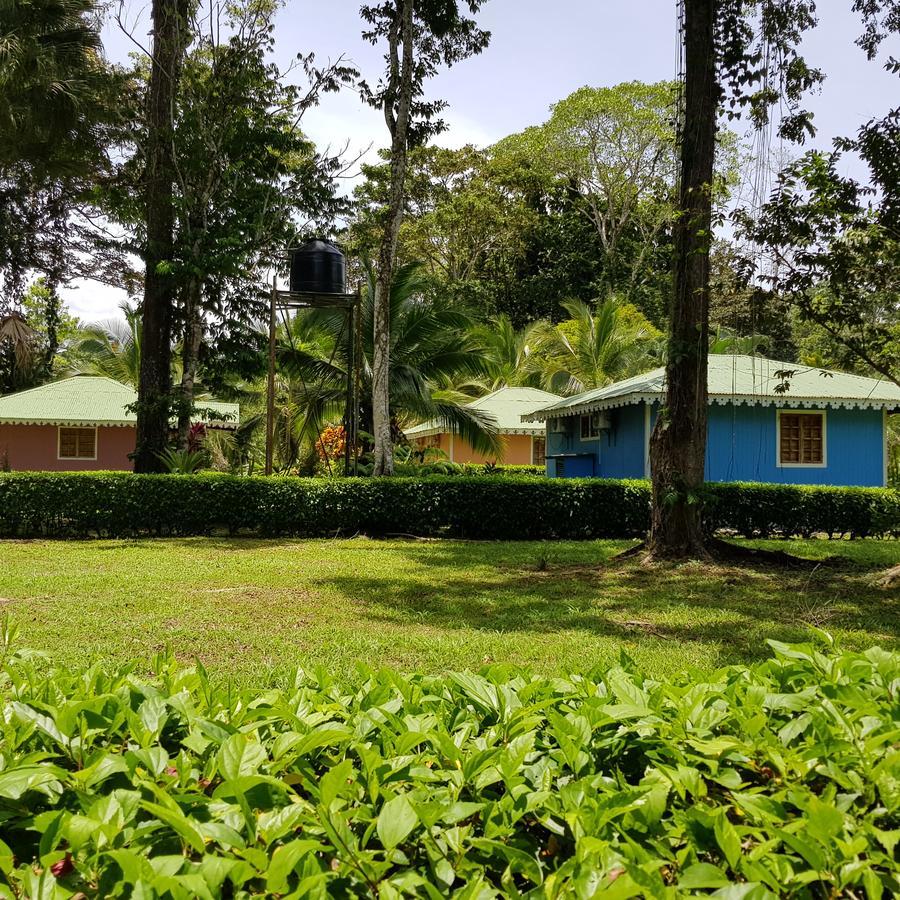 Ciudad Perdida Ecolodge Cahuita Exterior photo