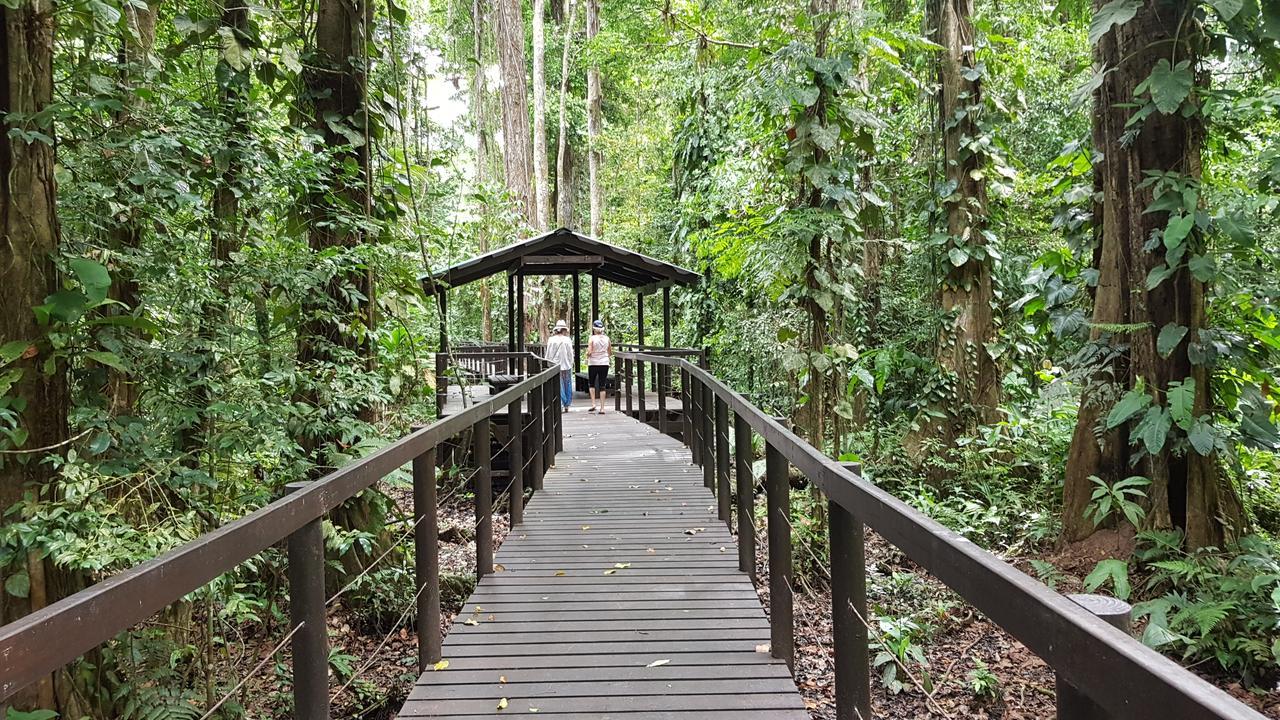 Ciudad Perdida Ecolodge Cahuita Exterior photo