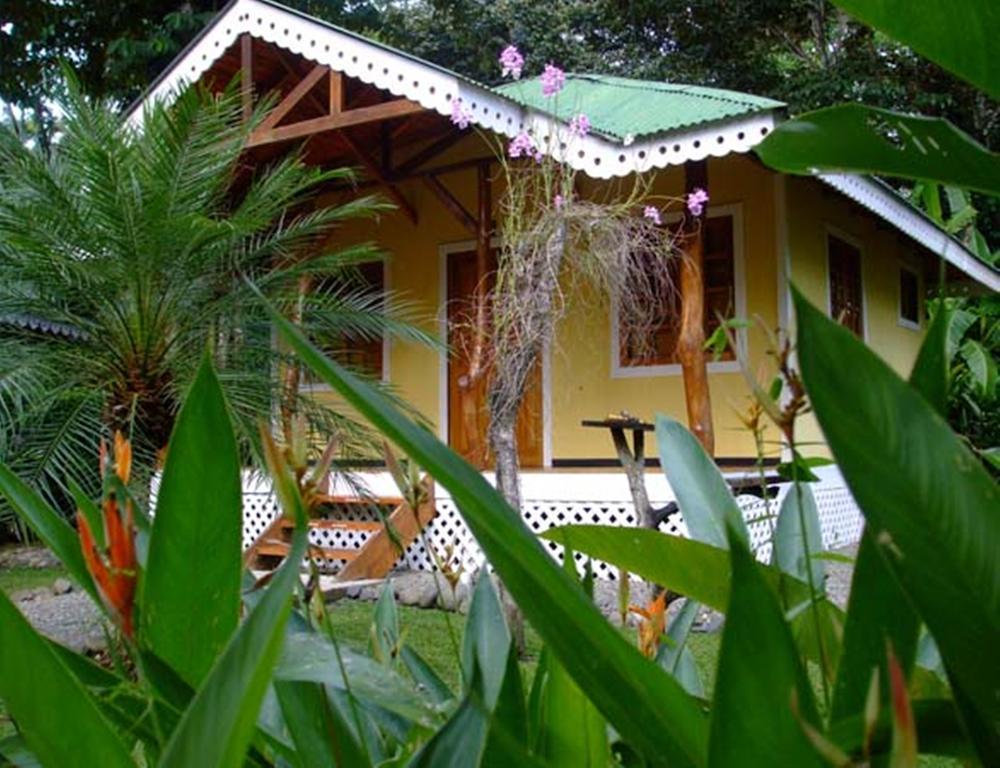Ciudad Perdida Ecolodge Cahuita Exterior photo